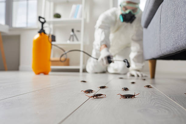 Commercial Kitchen Cockroach Control in Village St. George