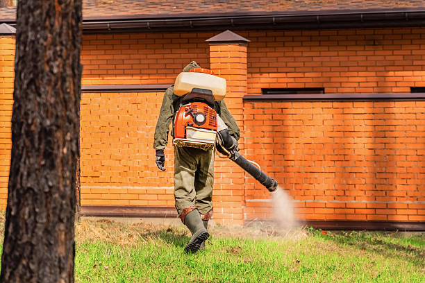 Cockroach Follow-Up and Monitoring in Village St. George